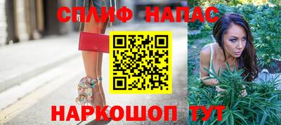 хмурый Будённовск