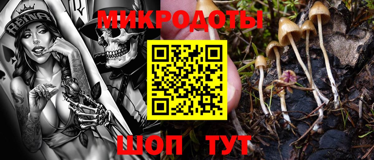 Галлюциногенные грибы мухоморы Светлоград