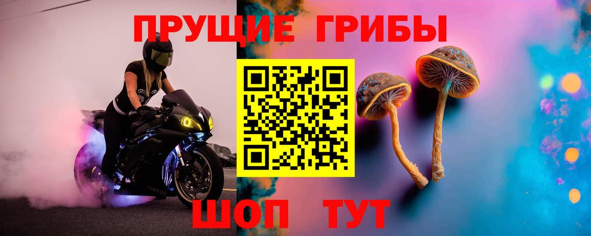 Светлоград  Галлюциногенные грибы мухоморы  Вход с VPN 